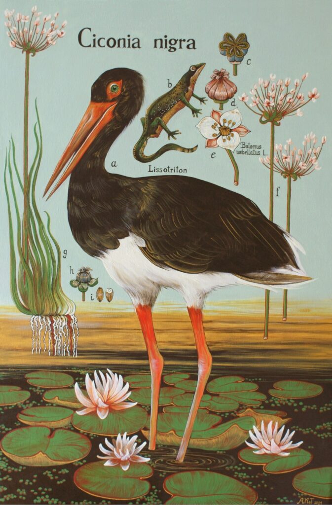 „Ciconia nigra – 1” – ACRYLIC ON CANVAS, 90×60 CM., 2021