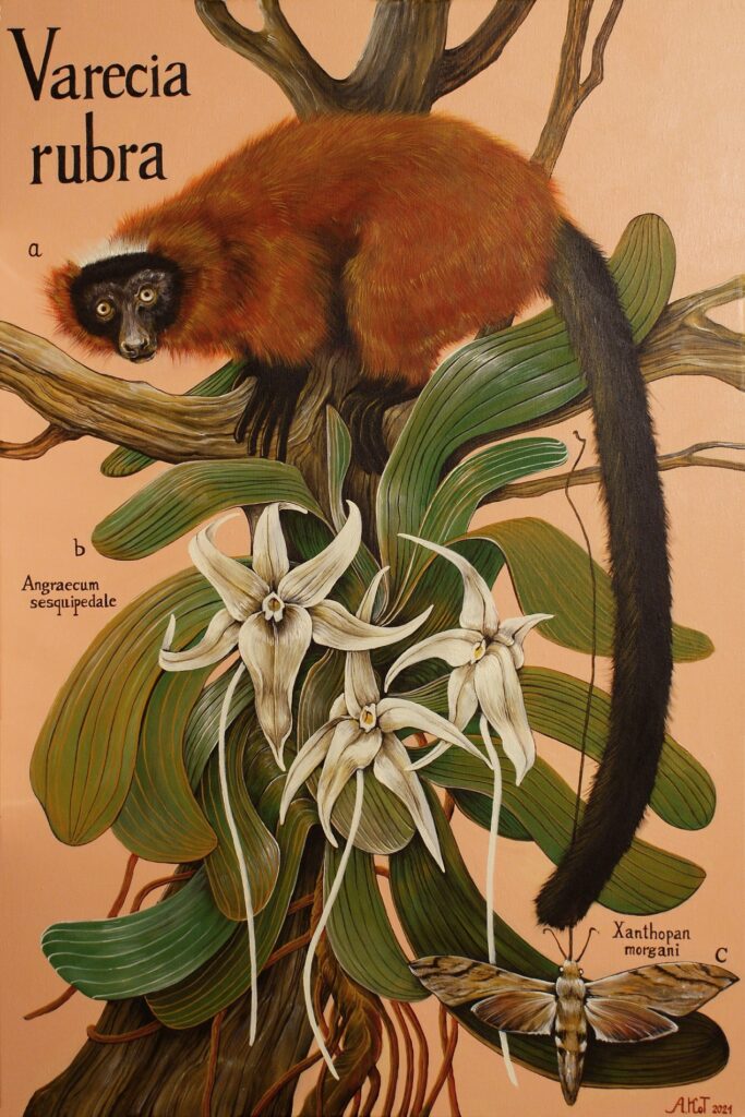 „Wari (Varecia rubra)” – ACRYLIC ON CANVAS, 90×60 CM., 2021
