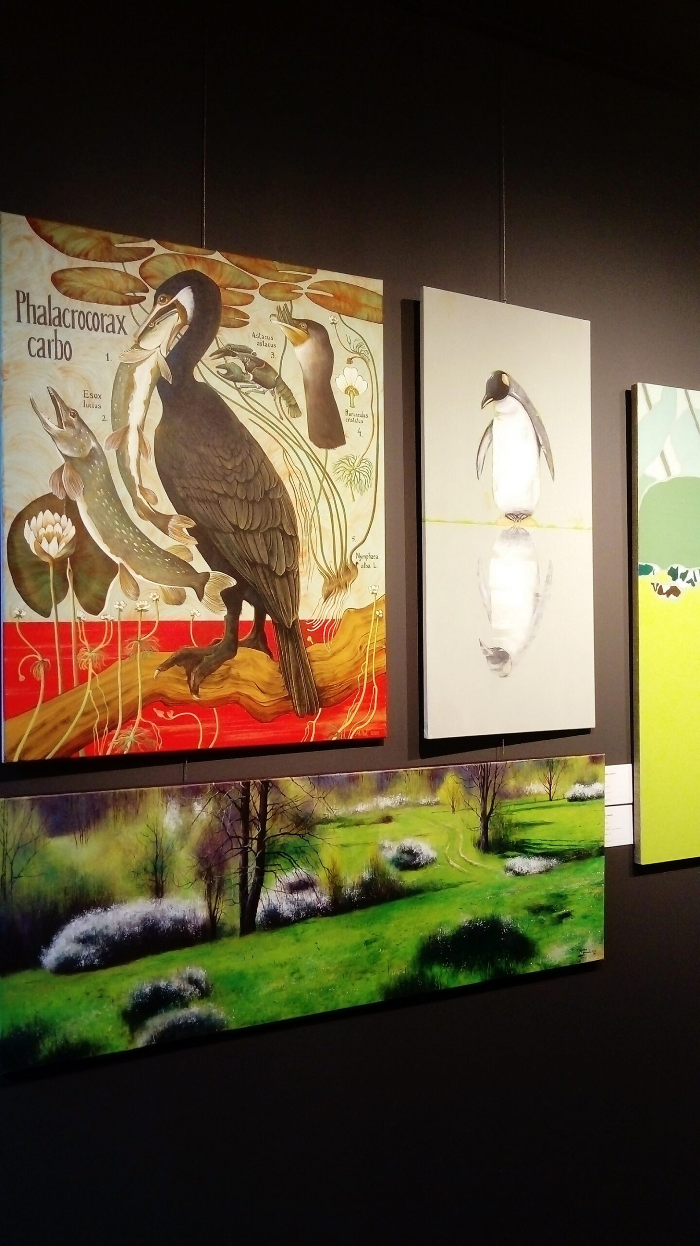 PRE-AUCTION EXHIBITION: „KORMORANY” (PHALACROCORAX CARBO – 1) – DESA UNICUM, WARSAW