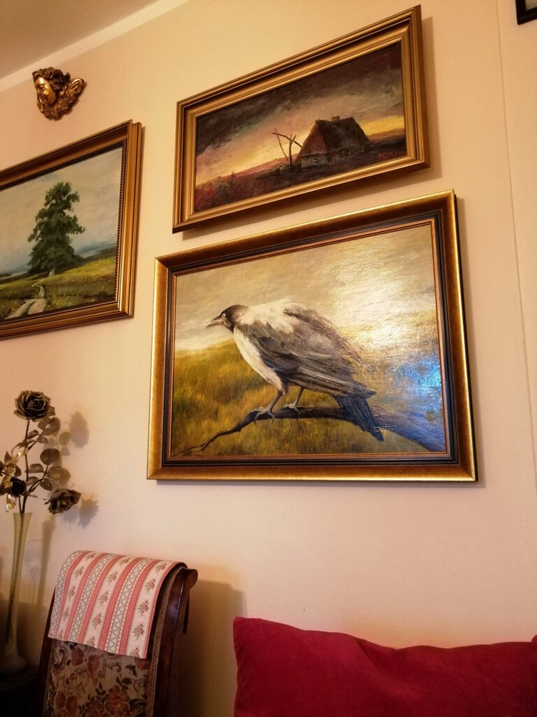 „Młoda wronka” w nowym domu :)