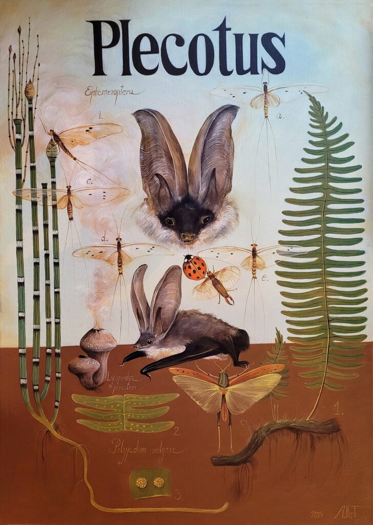 „Zaklęcie Purchawki” – ACRYLIC ON CANVAS, 70×50 cm., 2024