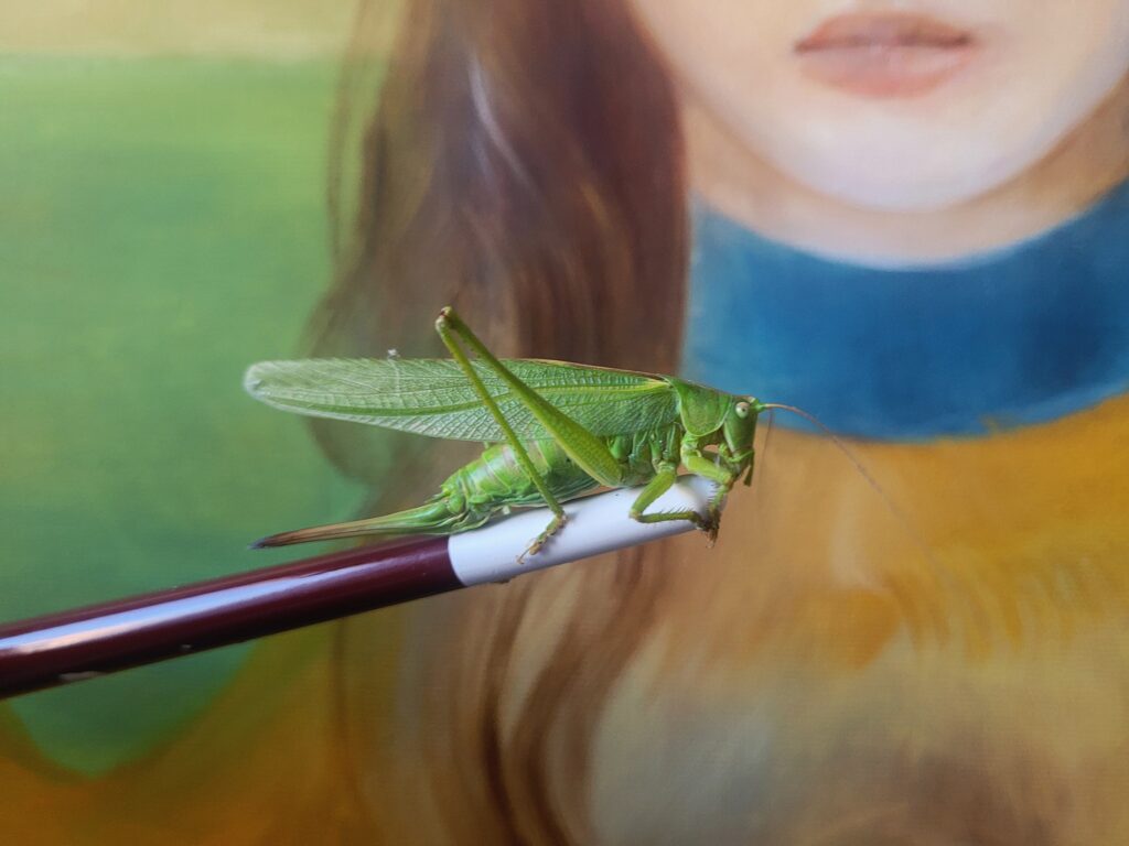 Pasikonik zielony (Tettigonia viridissima)